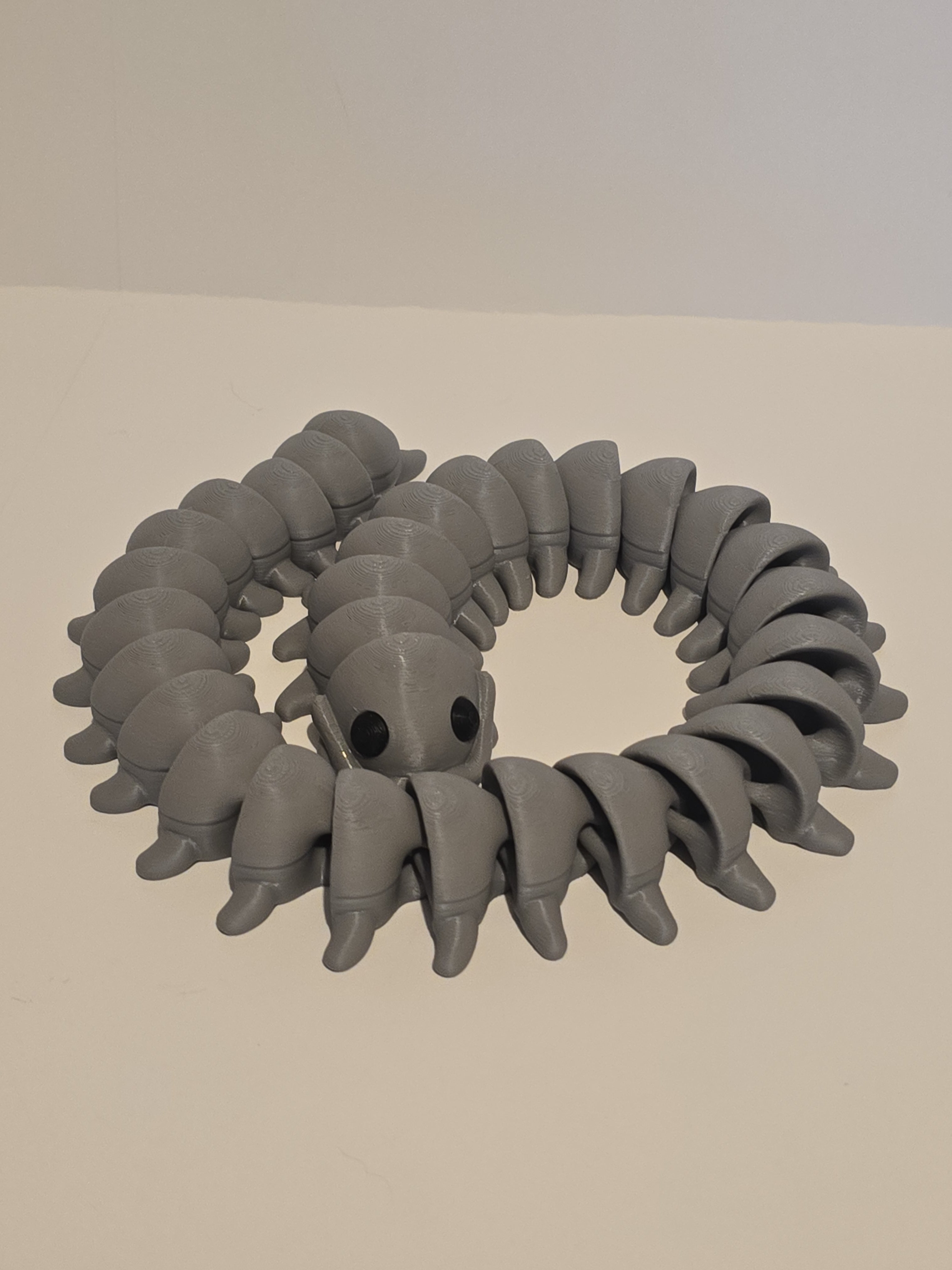Flexible 3D Printed Centipede | Articulated Insect Novelty Decoration