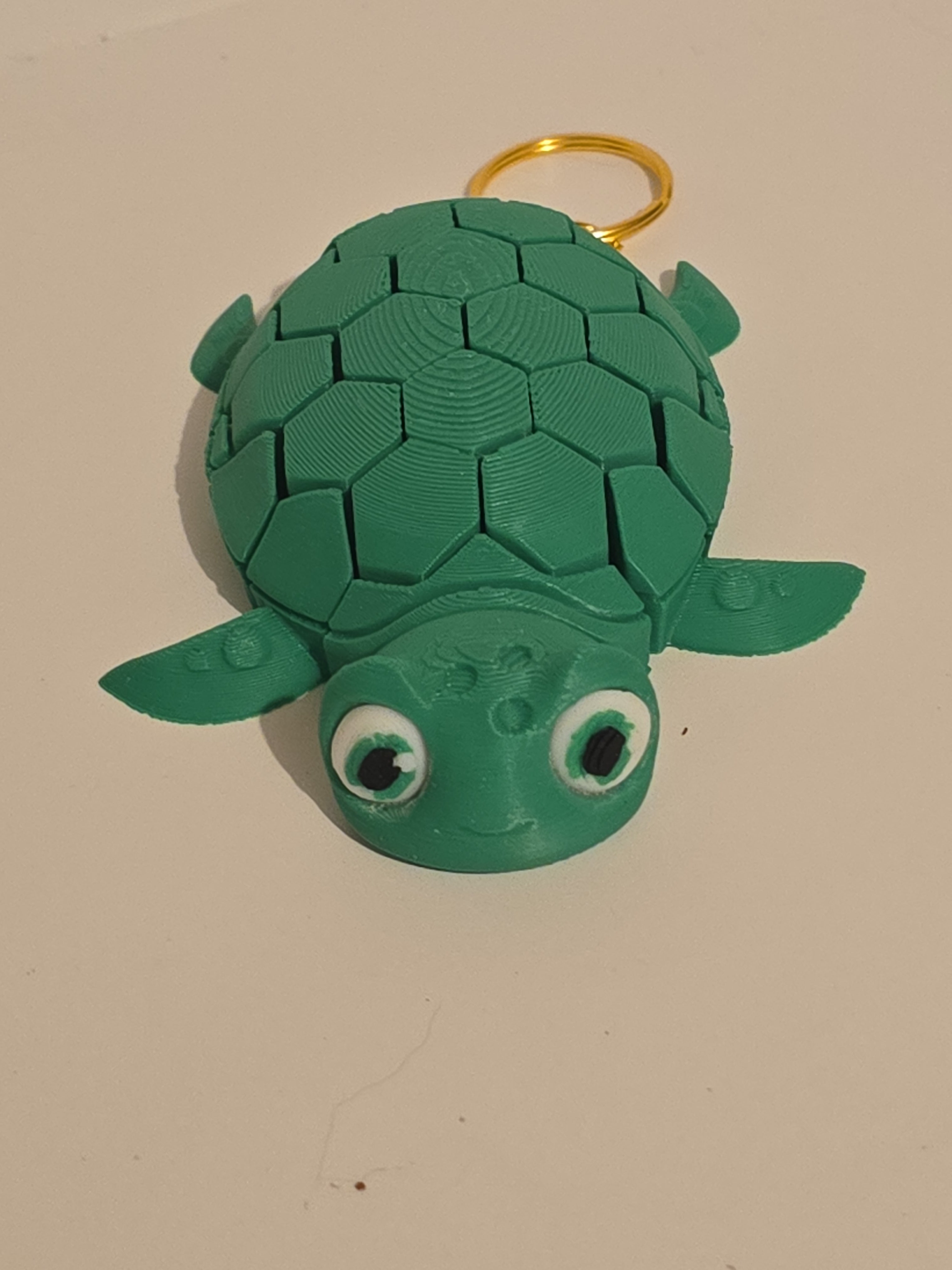 Myrtle the Turtle